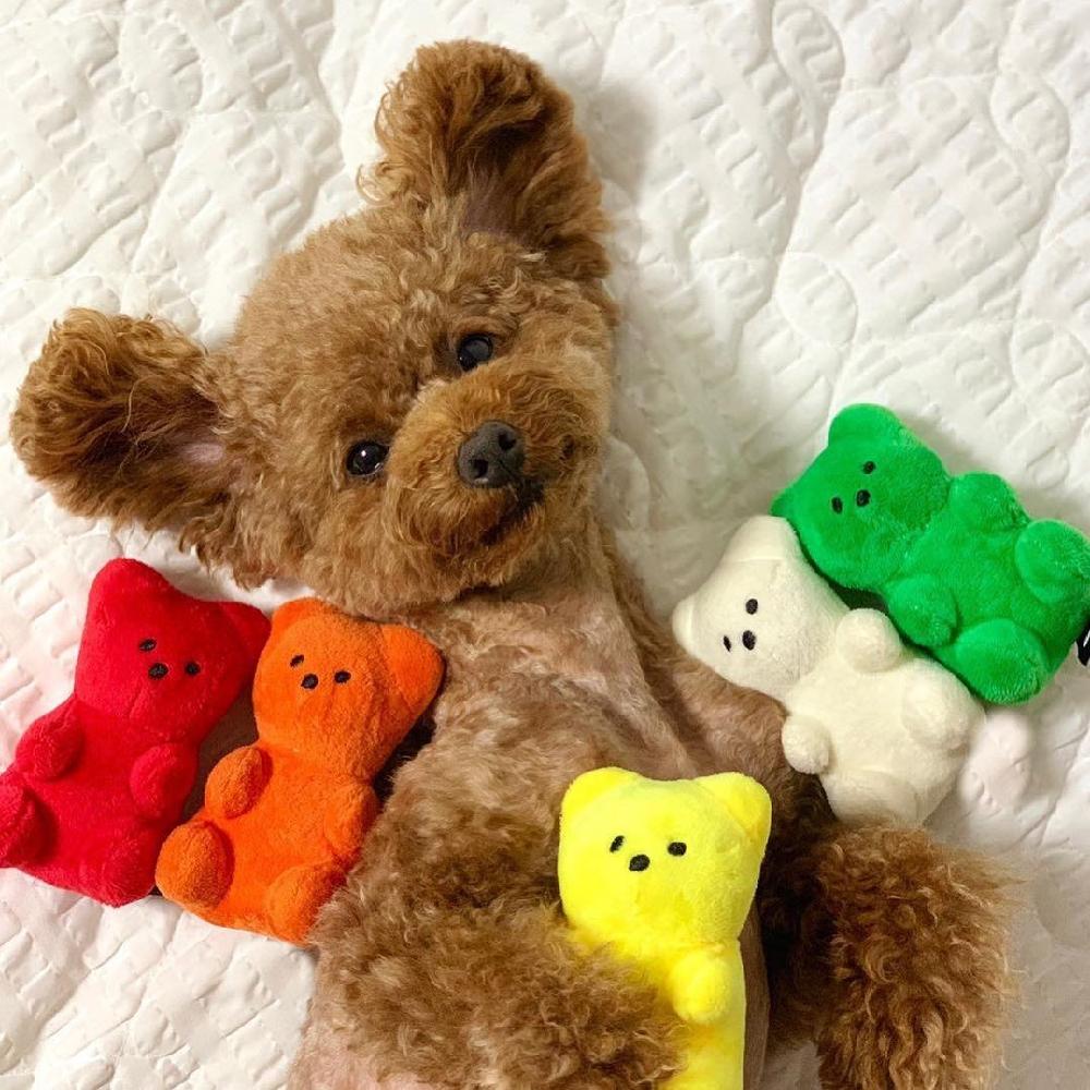 강아지 곰 반려견 인형 애착인형 젤리곰 귀여운 하리보 - 상품 이미지