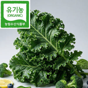 노지재배 컬리케일 유기농 케일 곱슬케일 즙용 500g 1kg 2kg 산지... 맛있게 먹은 솔직 후기 - 상품 이미지 1