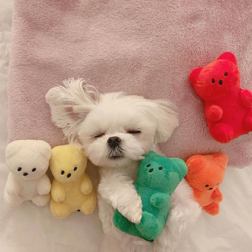 강아지 곰 반려견 인형 애착인형 젤리곰 귀여운 하리보 - 상세 이미지 2
