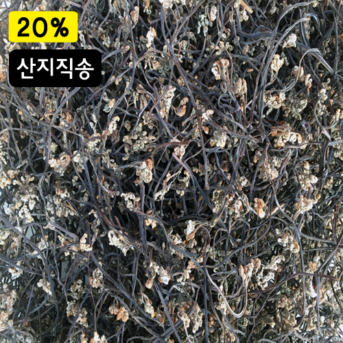 청정지역 맑은지리산 고사리 (건고사리) -100g - 상세 이미지 2