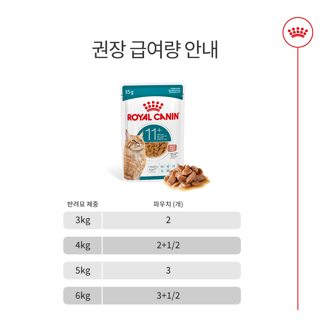 로얄캐닌 캣 에이징 11+ 그레이비, 85g, 12개 - 상세 이미지 5