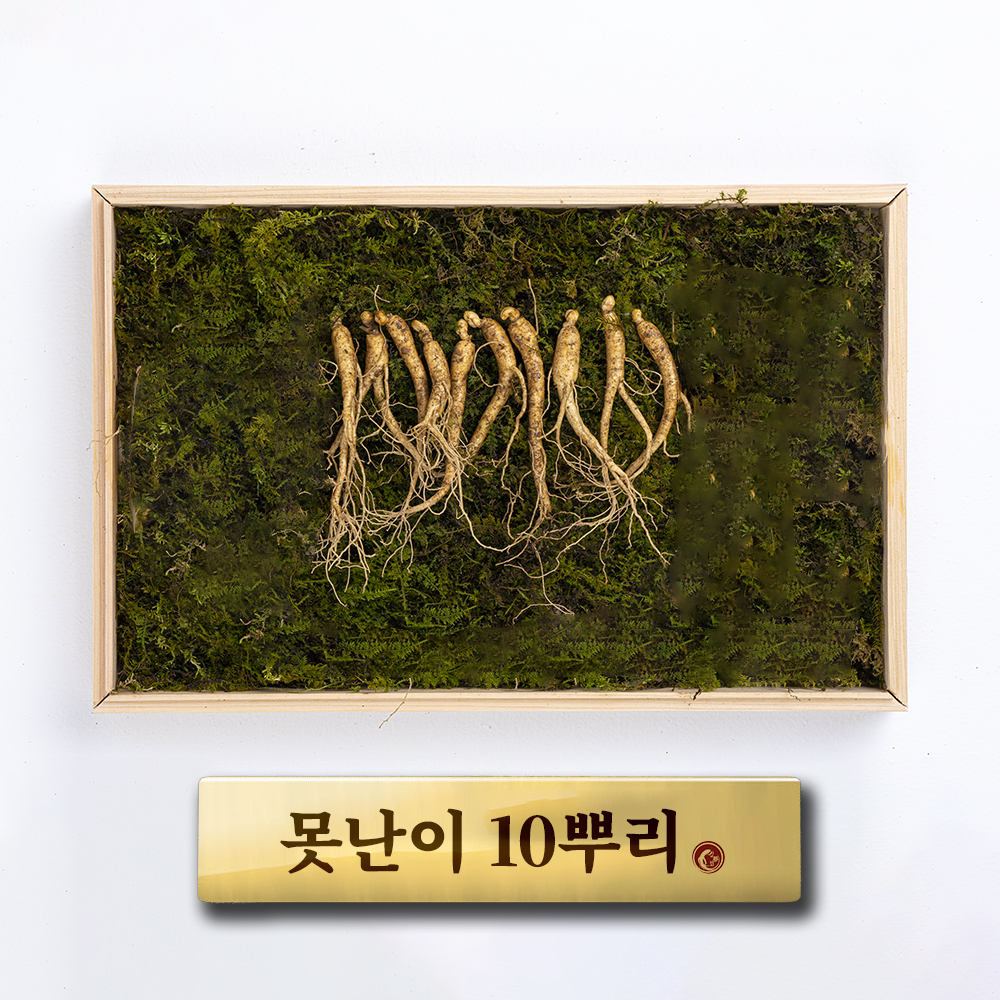 못난이 10뿌리 - 상품 이미지