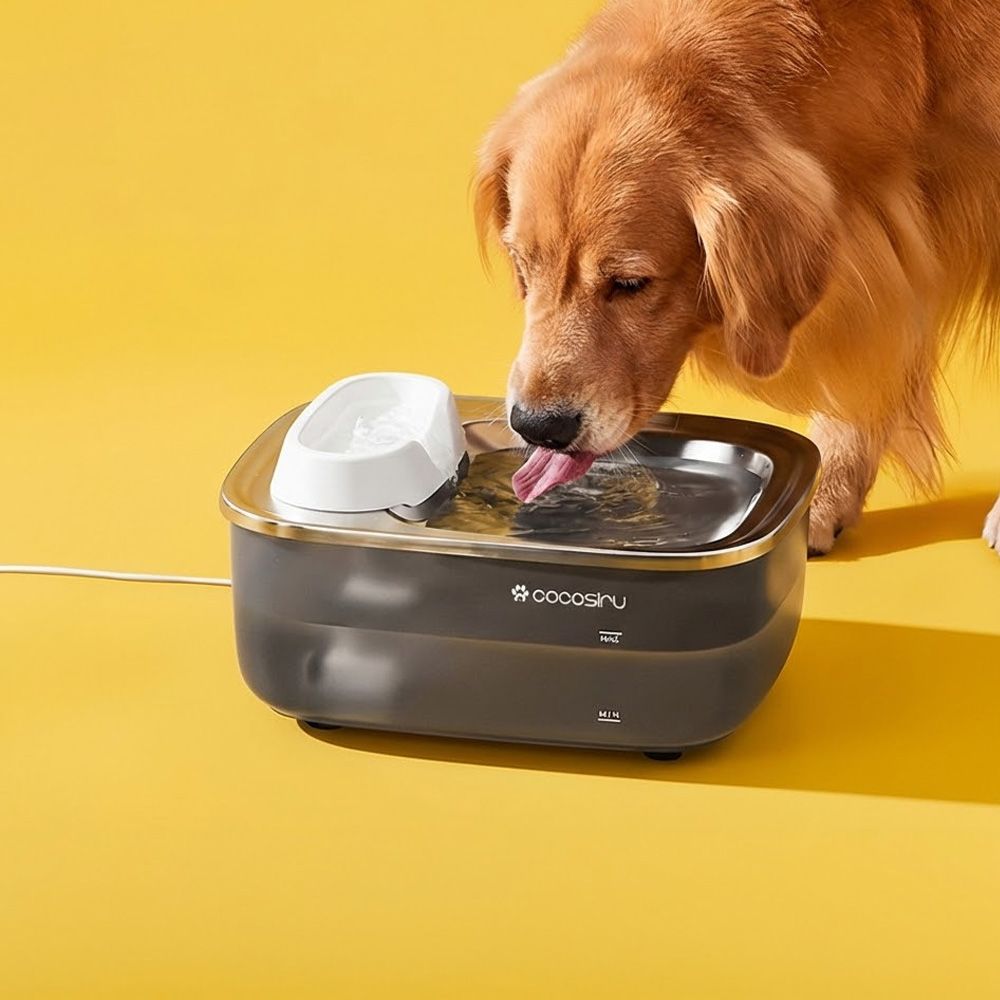 코코시루 7L 대용량 자동급수기 C7WF 빅 플로우 대형견 고양이 강아지 정수기