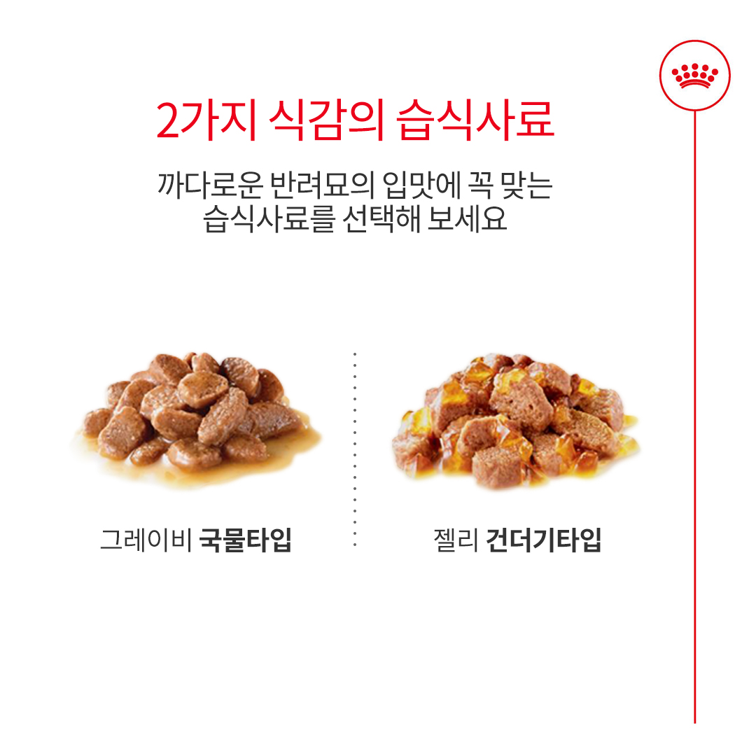 로얄캐닌 캣 에이징 11+ 젤리, 85g, 12개 - 상세 이미지 4