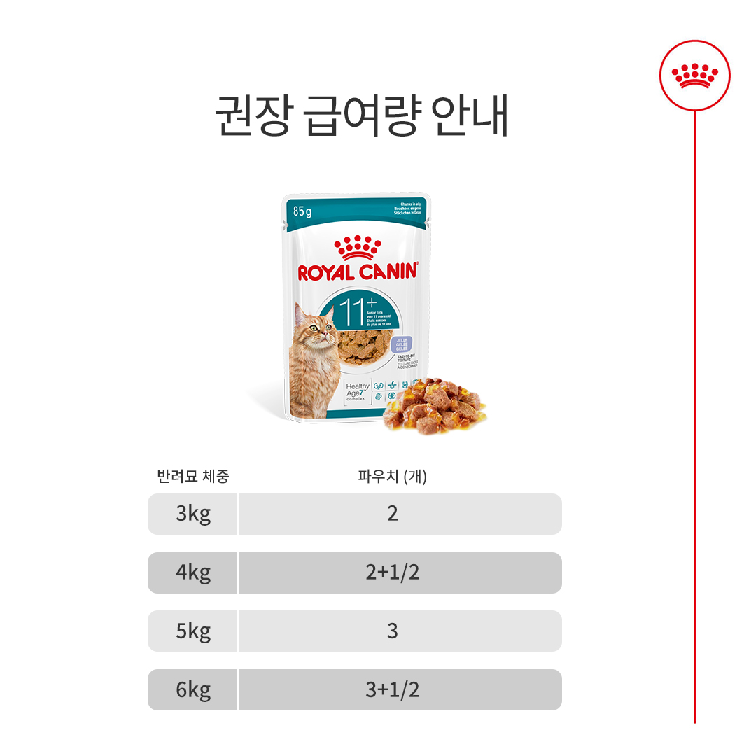 로얄캐닌 캣 에이징 11+ 젤리, 85g, 12개 - 상세 이미지 5