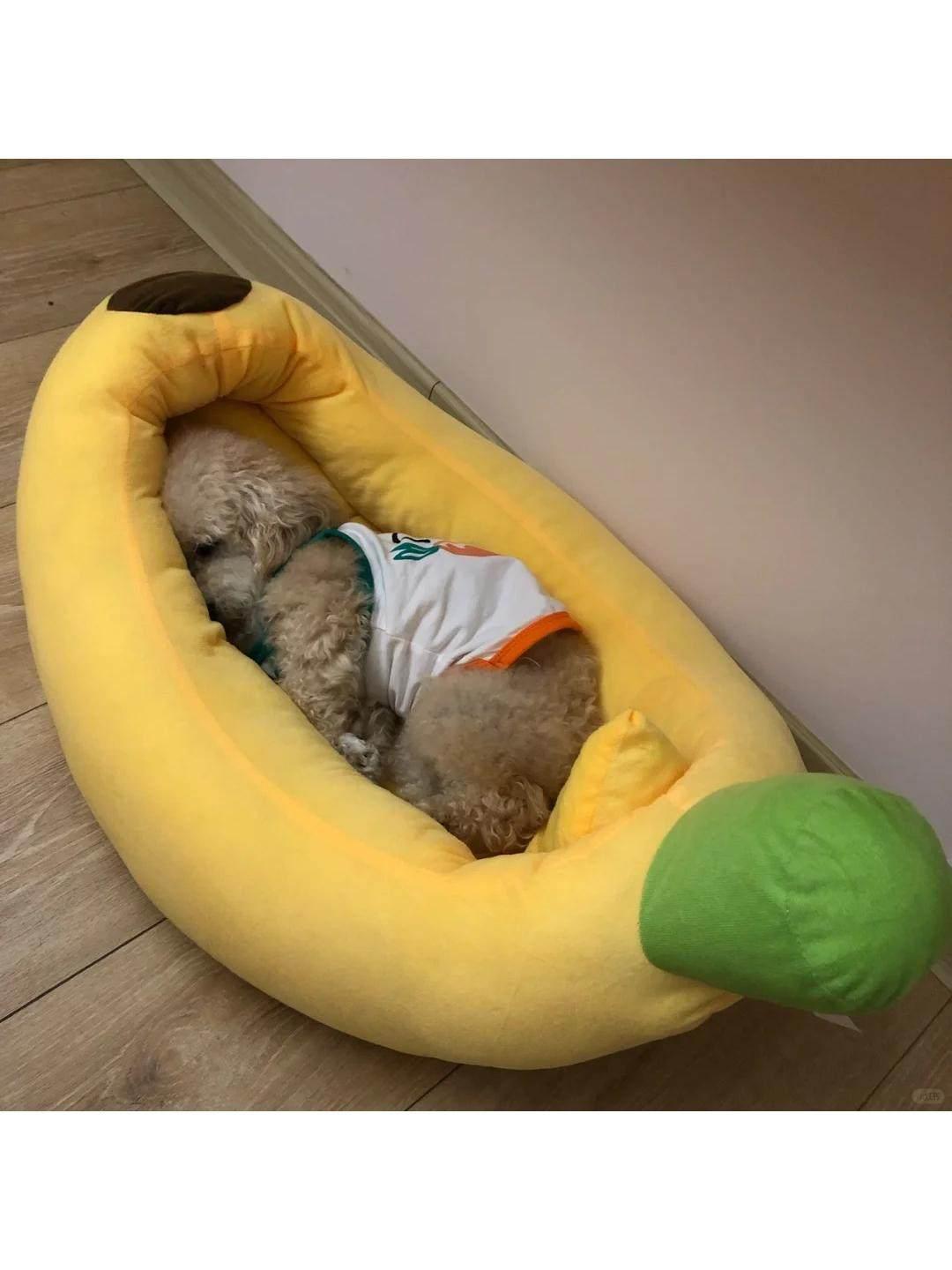 카툰 바나나 강아지 고양이 겨울용 사계절 분리형 따뜻한 하우스 바나나 둥지 L 10kg이하 - 상세 이미지 2