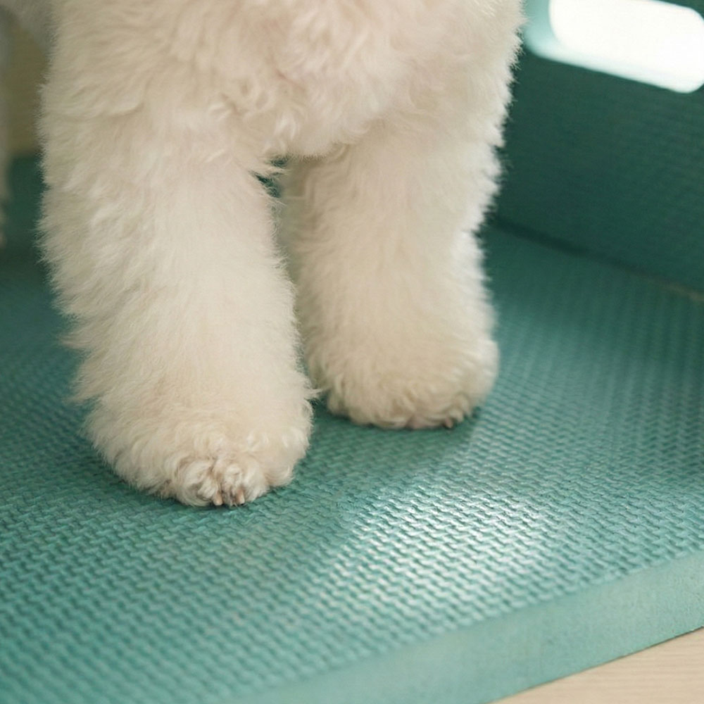 크레용펫 코지 폼 하우스 대형 강아지 집 - 상세 이미지 3