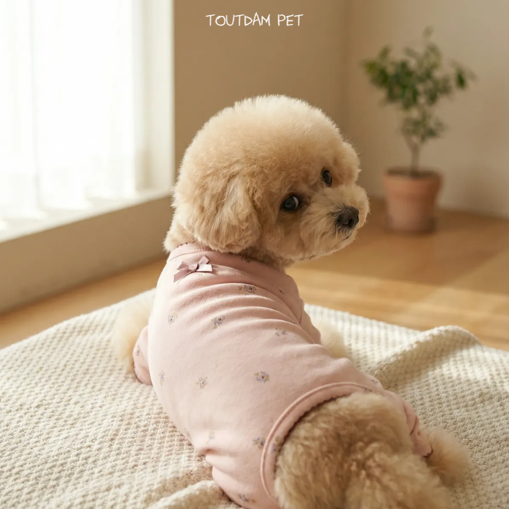 뚜담펫 국내제작 순면 강아지올인원 반려견 올인원옷 이미지 6