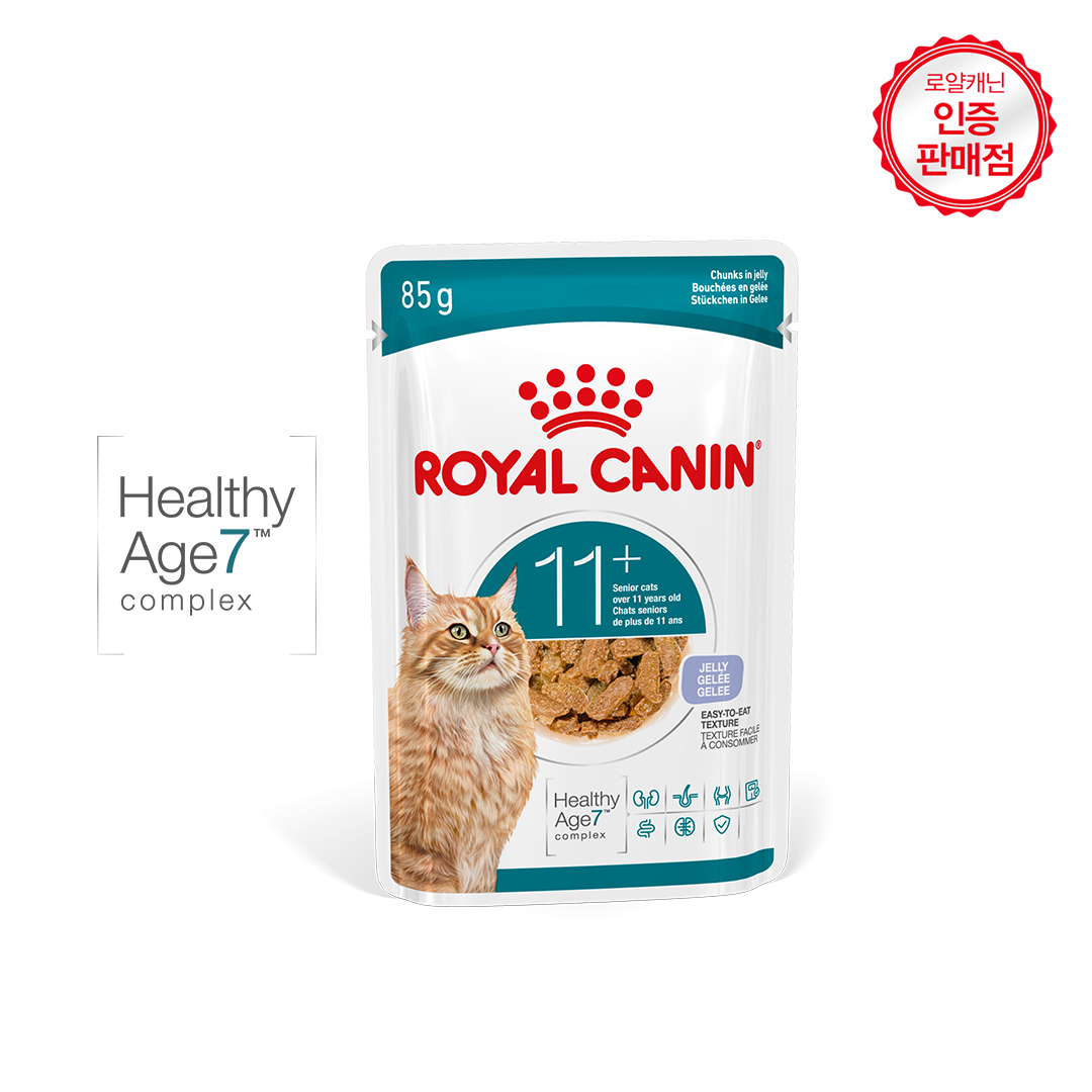 로얄캐닌 캣 에이징 11+ 젤리, 85g, 12개 - 상세 이미지 2