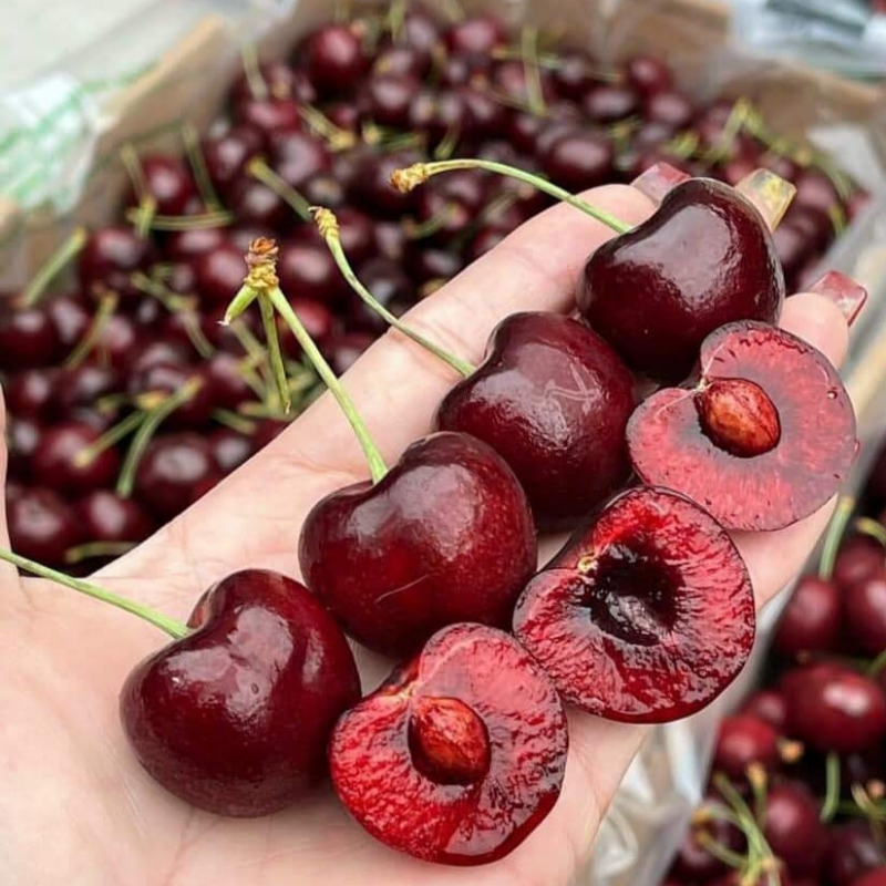 자연가득 여왕의 과일 고당도 생체리 300g-1kg - 상품 이미지