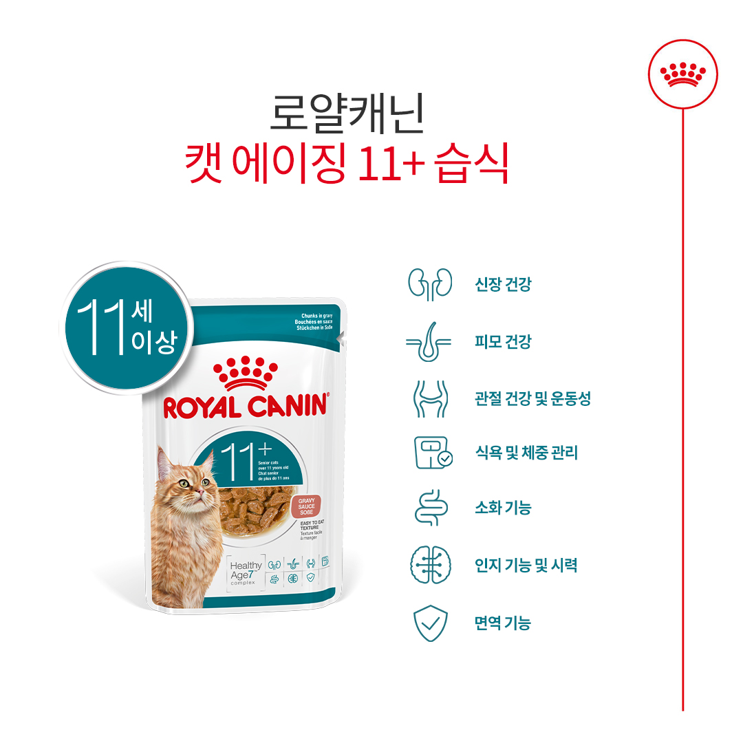 로얄캐닌 캣 에이징 11+ 그레이비, 85g, 12개 - 상세 이미지 3