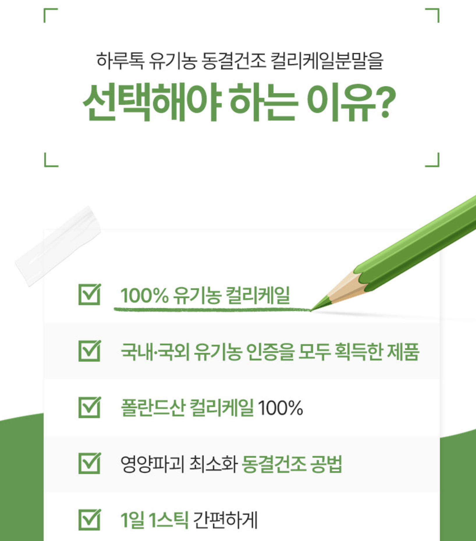 유기농곱슬케일 분말 동결건조컬리케일 먹는법 이미지 6