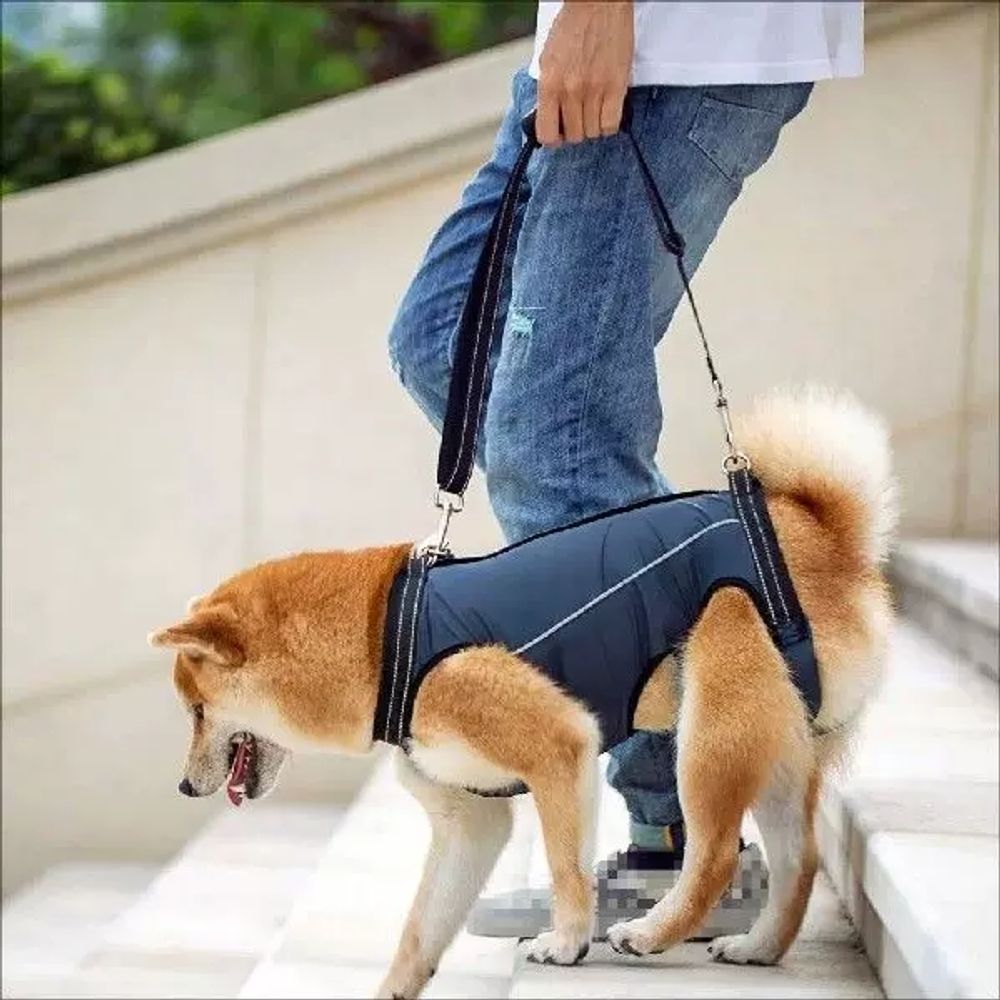 파셀몰 노령견 보행 보조벨트 뒷다리 반려동물 A. OGXS For Pet 1.53.5kg - 상품 이미지