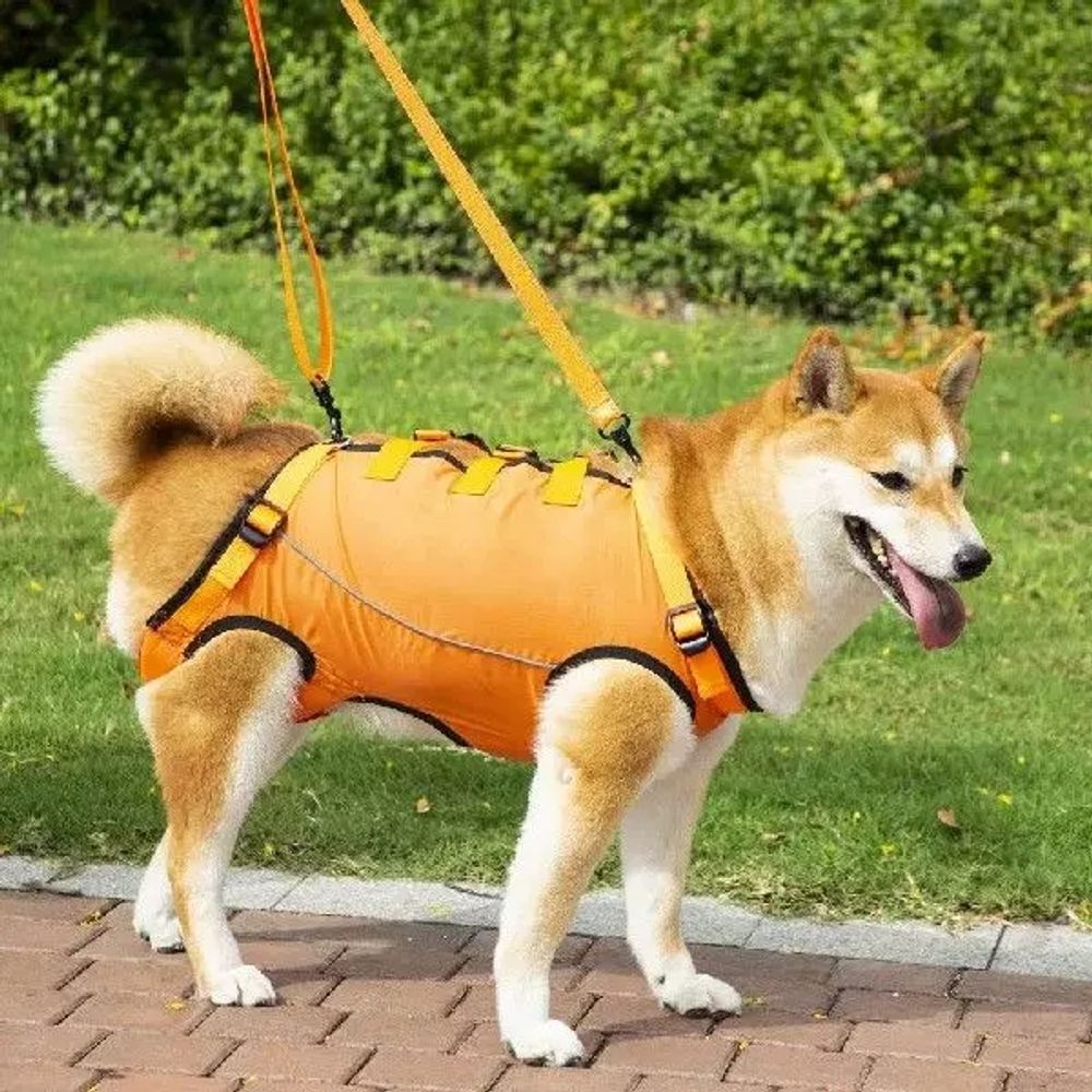 파셀몰 노령견 보행 보조벨트 뒷다리 반려동물 A. OGXS For Pet 1.53.5kg - 상세 이미지 3