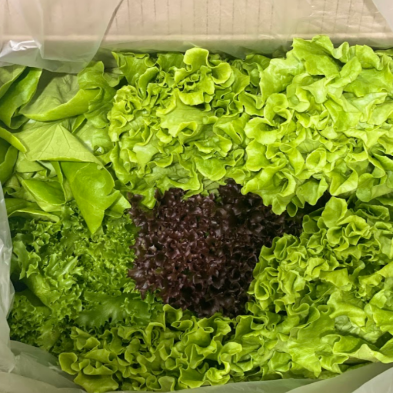 자연가득 유럽채소 모듬 1kg /3-6가지 품종으로 램덤 발송 - 상품 이미지