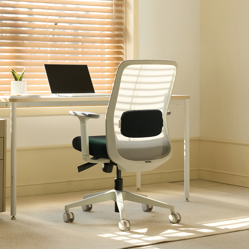 [N희망일배송][슈퍼적립]듀오백 솜 SOAM 여성용 사무 낮은 컴퓨터 허리편한 책상의자