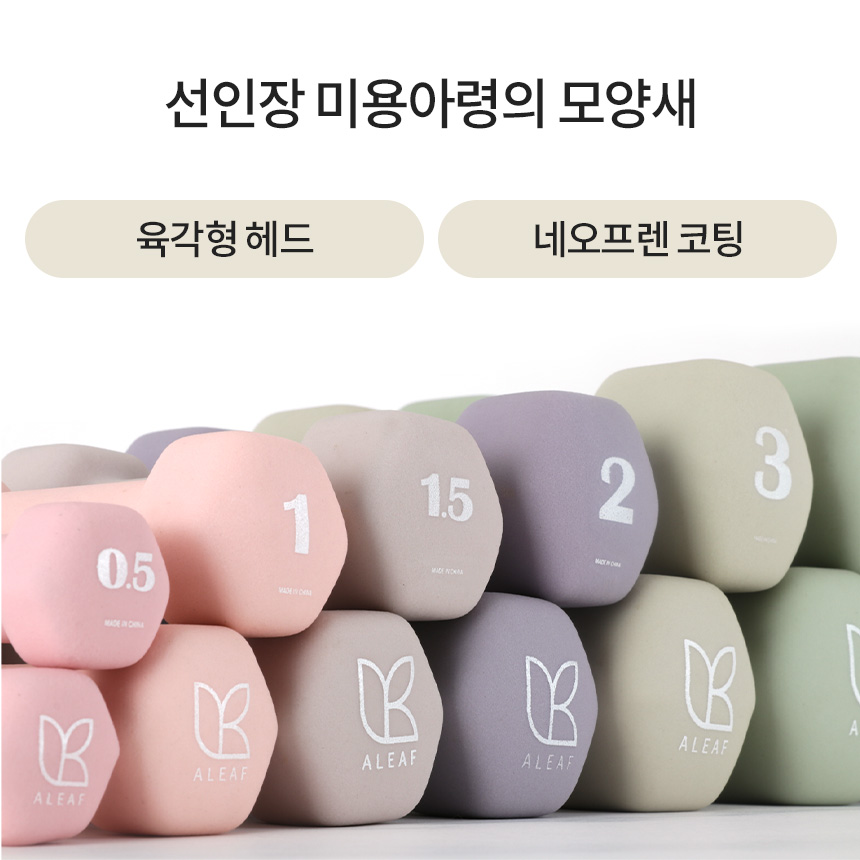 아리프 선인장 미용 아령 여자 홈트 덤벨 8kg, 2개, 그레이 라벤더 이미지 6