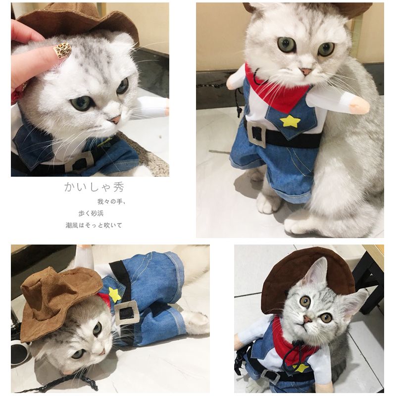 애완견 고양이 파티 강아지 옷 의상 생일 코스프레 할로윈 - 상세 이미지 3