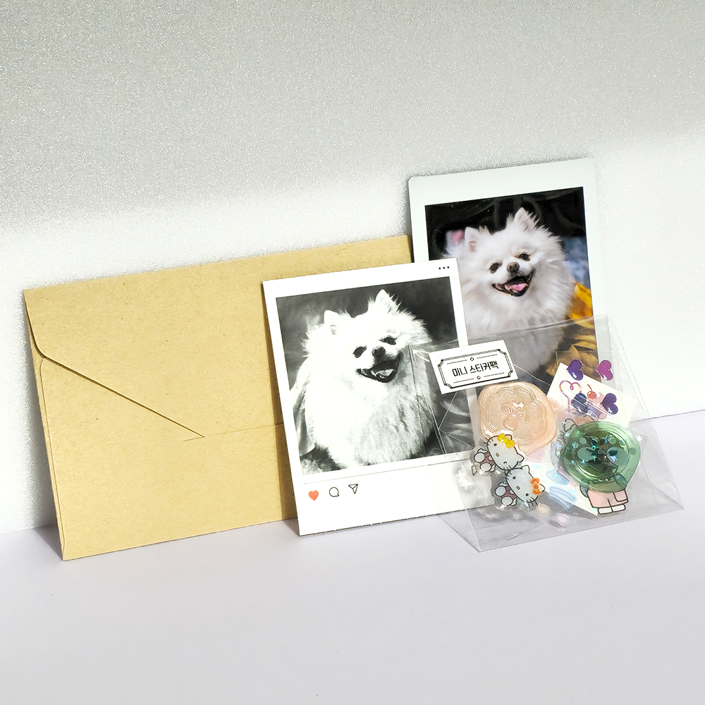 인스탁스 미니 사진 인화 서비스 / 폴라로이드 즉석 사진 인화 서비스