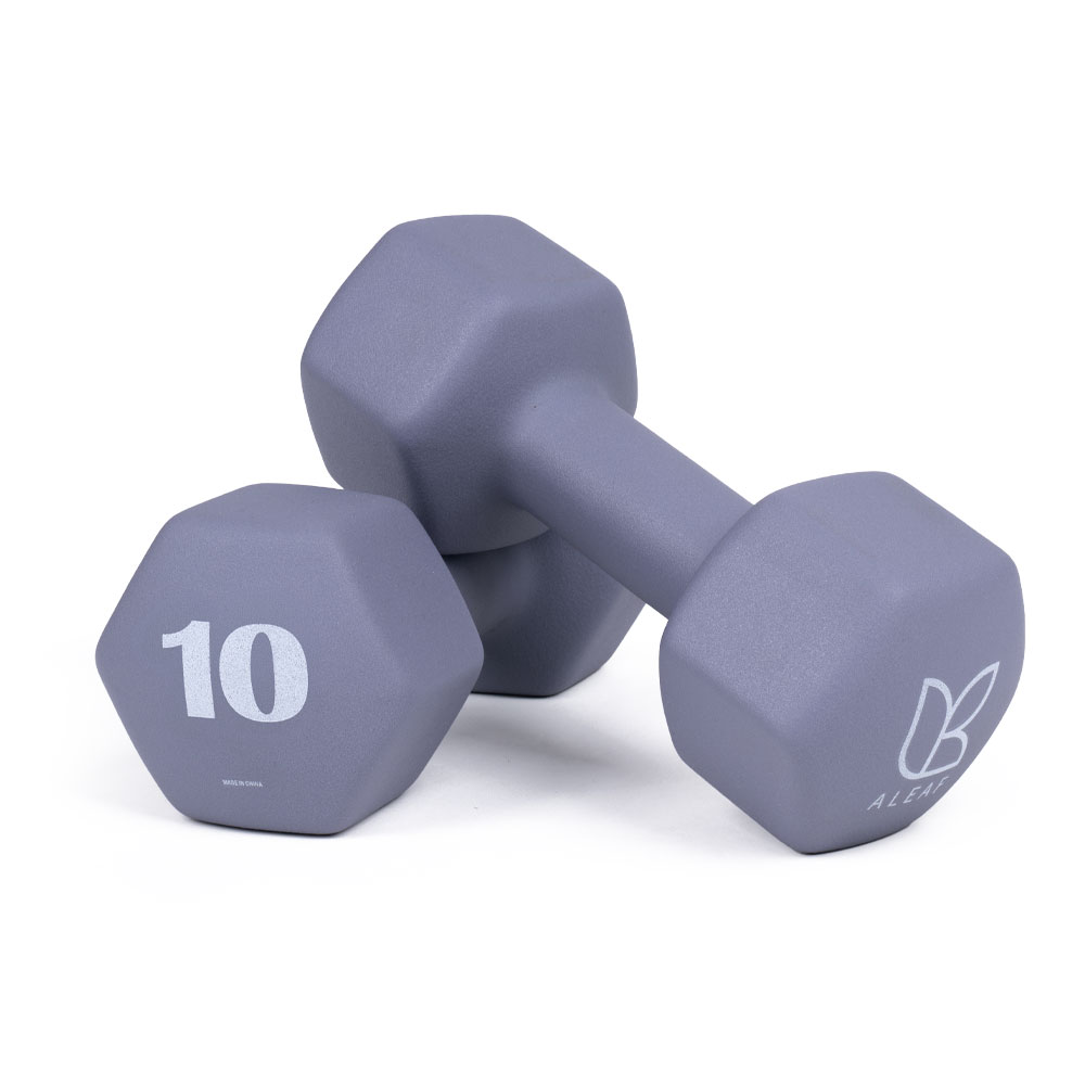 아리프 선인장 미용 아령 여자 홈트 덤벨 10kg, 2개, 모브그레이 - 상품 이미지