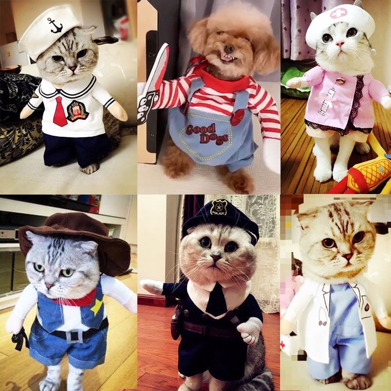 애완견 고양이 파티 강아지 옷 의상 생일 코스프레 할로윈 - 상품 이미지