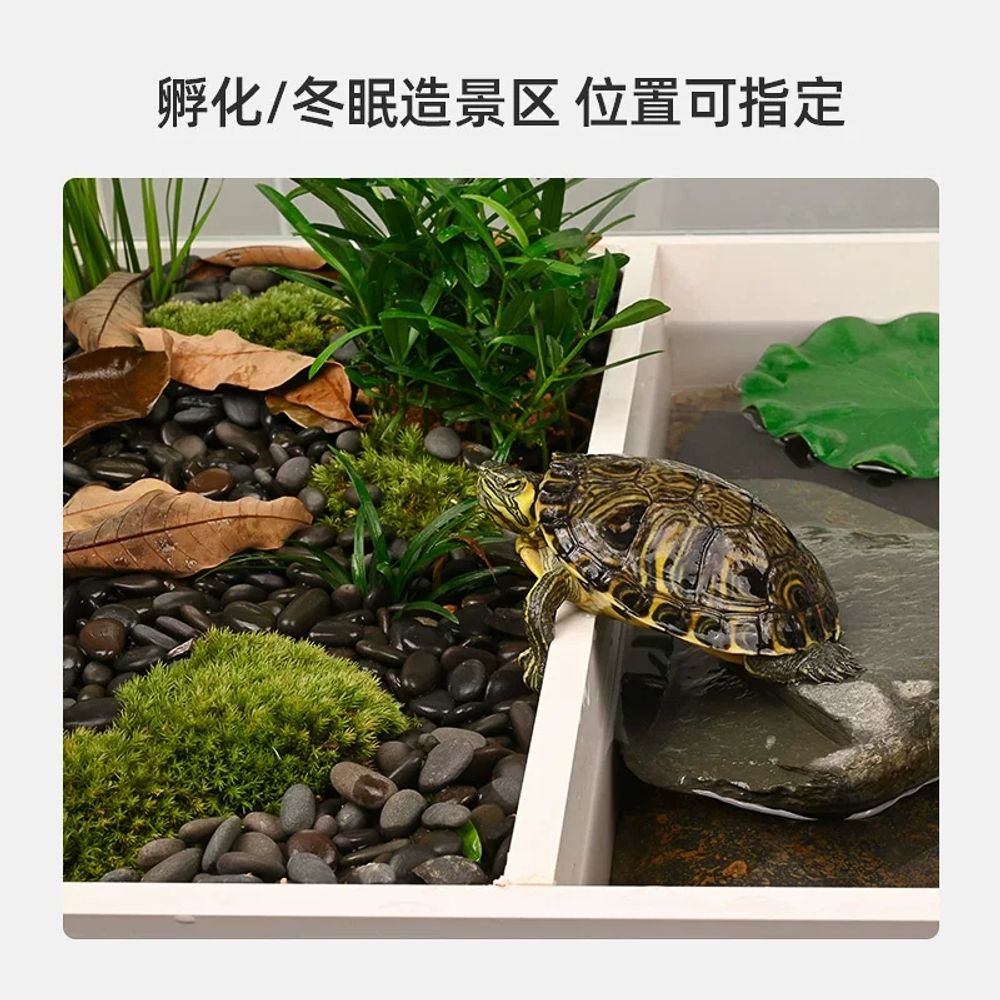 대형거북이어항 수생육지 분리형 이동식 투명강화유리 A. 60cm 수생 및 육상 사육 상자 이미지 6