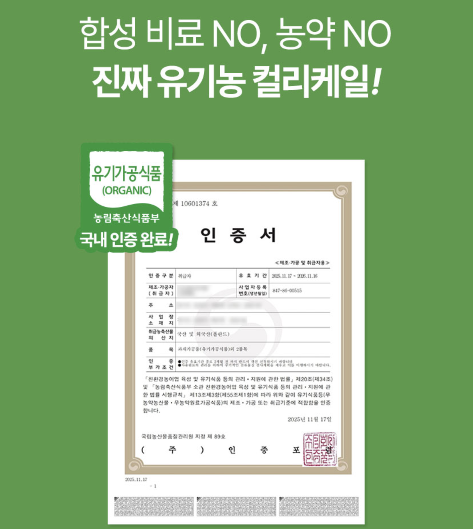유기농곱슬케일 분말 동결건조컬리케일 먹는법 이미지 7