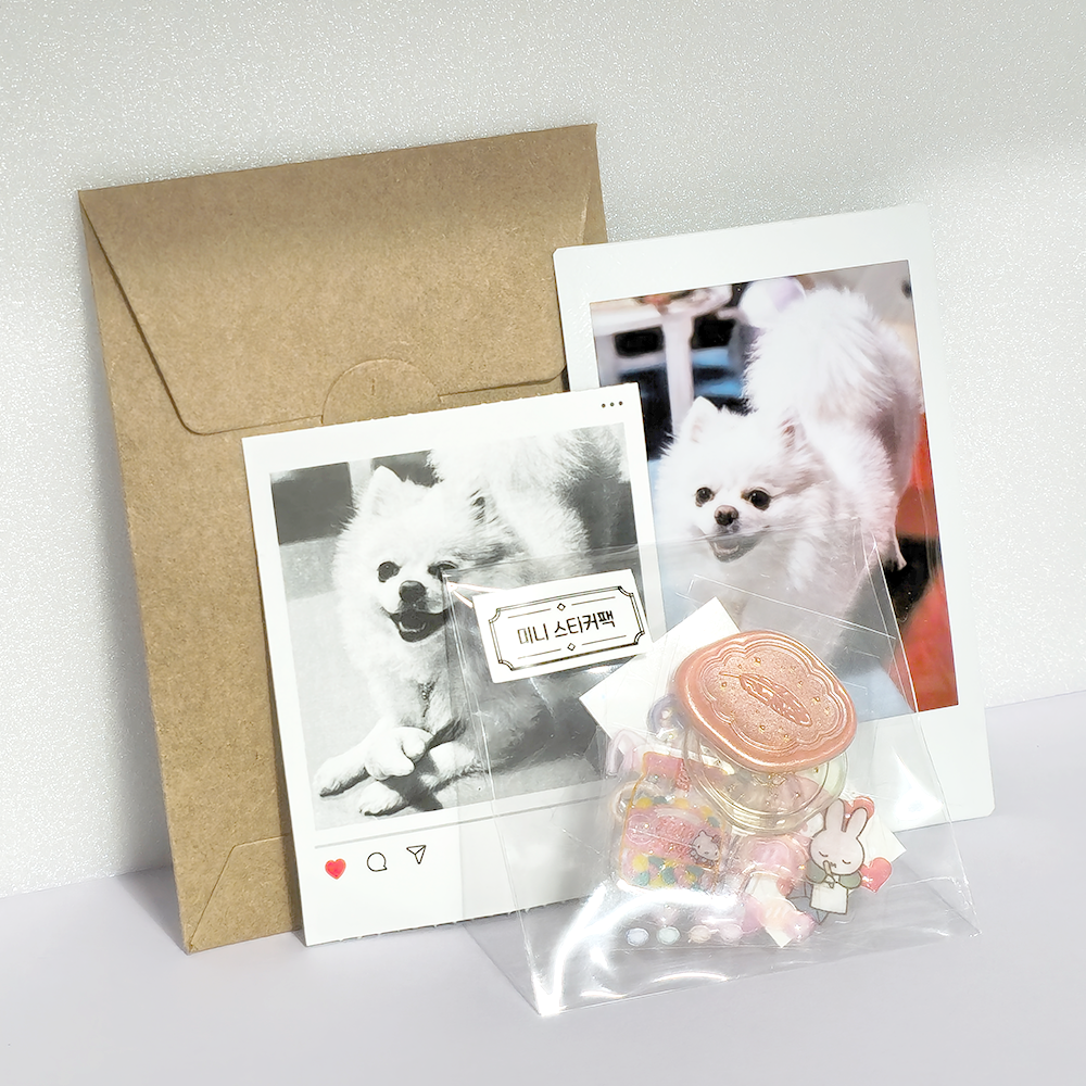 인스탁스 미니 사진 인화 서비스 / 폴라로이드 즉석 사진 인화 서비스