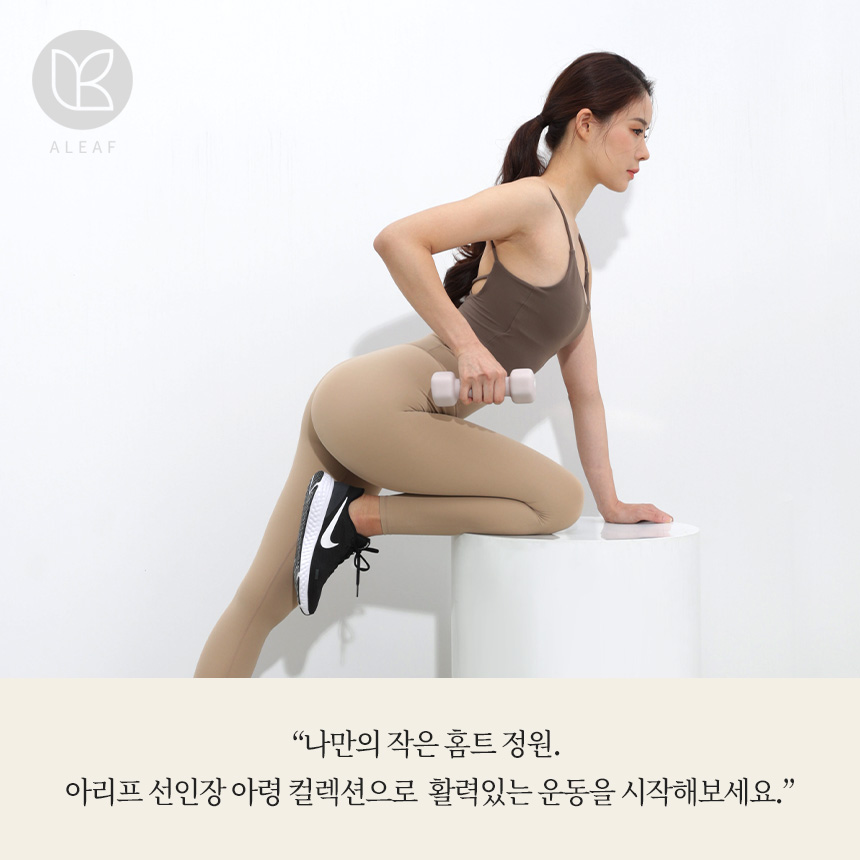 아리프 선인장 미용 아령 여자 홈트 덤벨 10kg, 2개, 모브그레이 이미지 8
