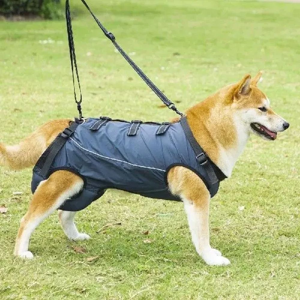 파셀몰 노령견 보행 보조벨트 뒷다리 반려동물 A. OGXS For Pet 1.53.5kg - 상세 이미지 2