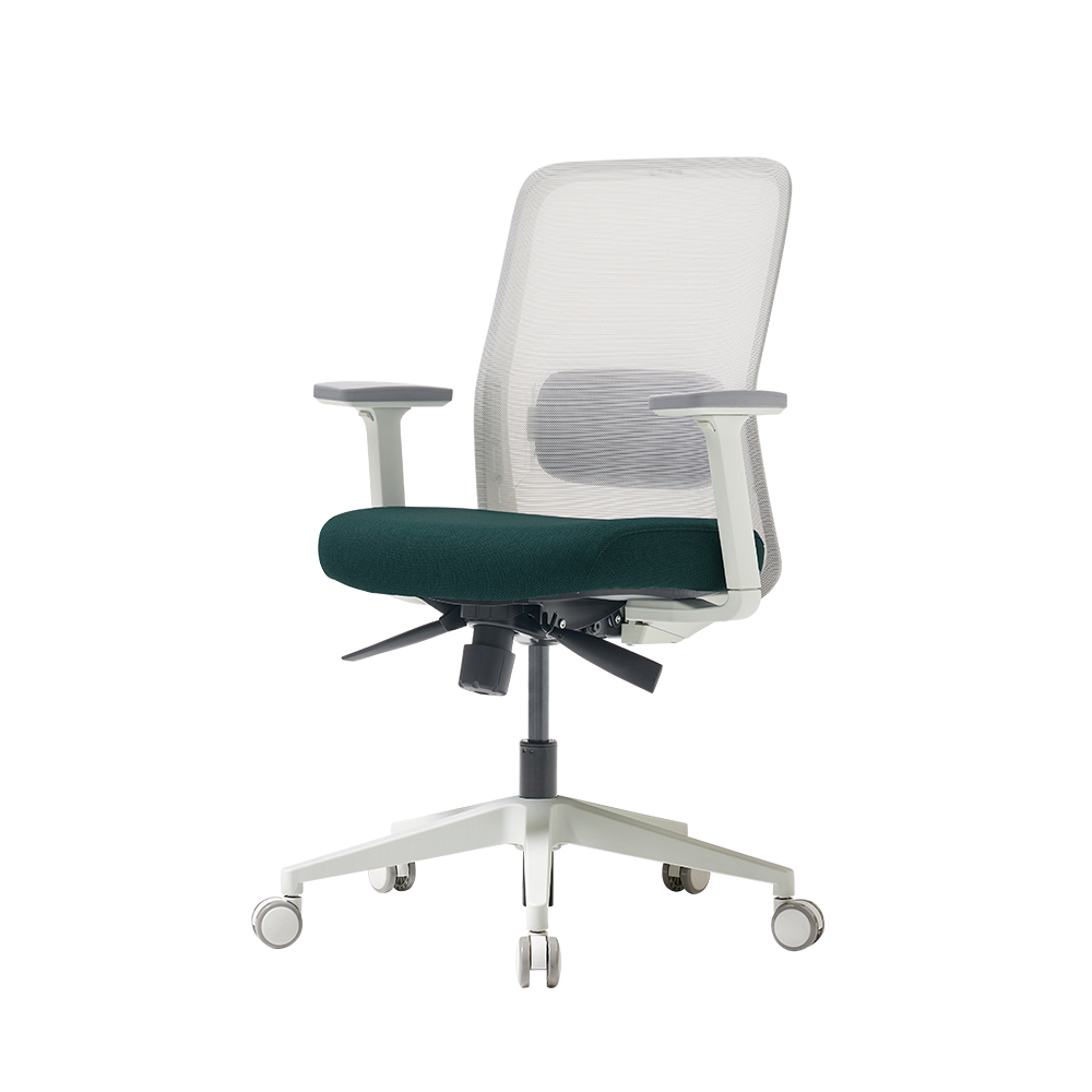 [N희망일배송][슈퍼적립]듀오백 솜 SOAM 여성용 사무 낮은 컴퓨터 허리편한 책상의자