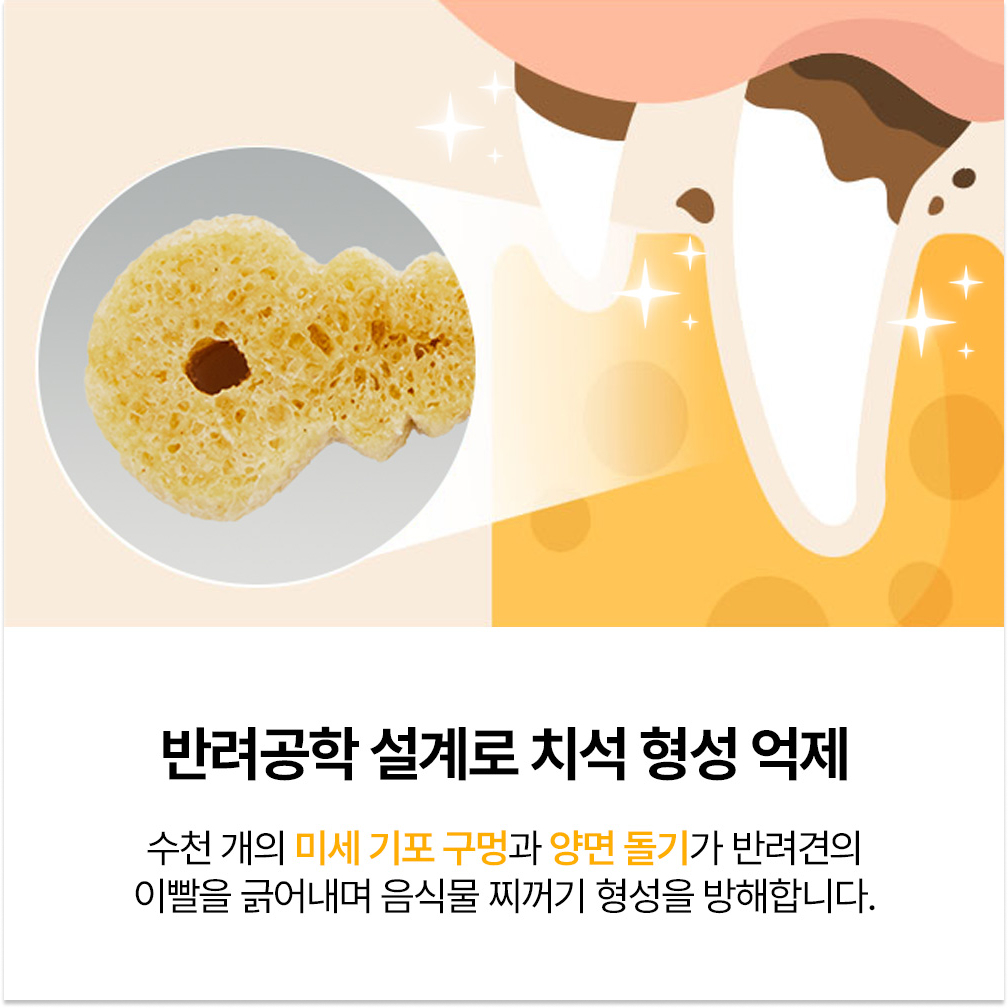 강아지 양치껌 잇츄 오리지널 10P 덴탈껌 치석제거 핏펫 개껌 이미지 2