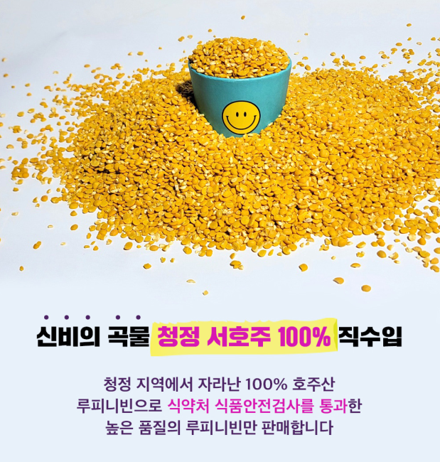 잡곡쌀 콩 호주산 루피니빈 늘찬팜 루핀콩 1kg - 상세 이미지 3