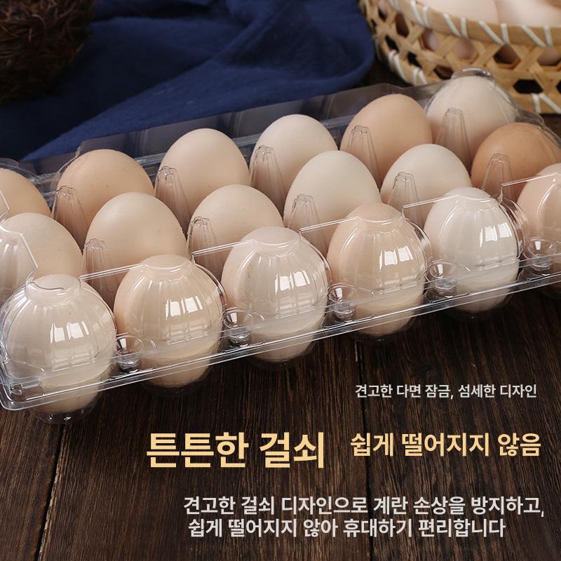투명계란판 달걀 포장용기 계란트레이 일회용 9개 중간 두꺼운 50-58g - 상세 이미지 2