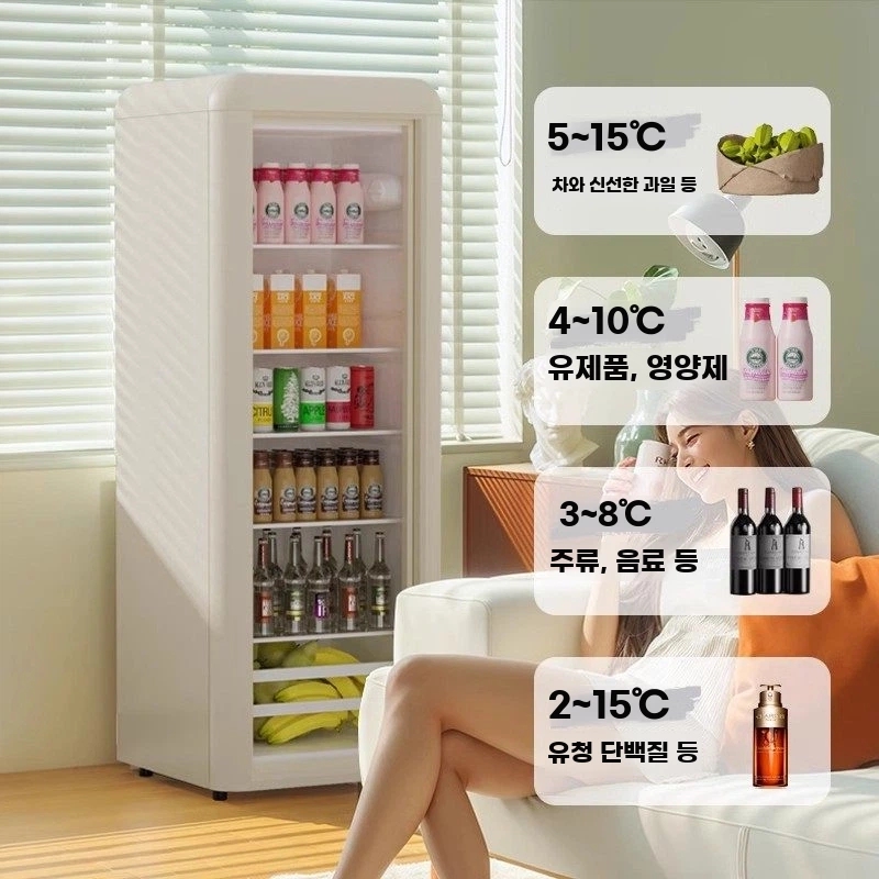 소주냉장고 술냉장고 미니 냉장고 음료수냉장고 가정용 술장고 홈바 레트로 그린 72리터 - 상품 이미지