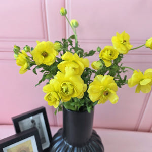 유스풀몰 버터플라이 라넌큘러스 한다발 꽃 생화 택배 꽃배달싼곳 솔직 후기 | 실사용자 리뷰 분석 - 상품 이미지 1