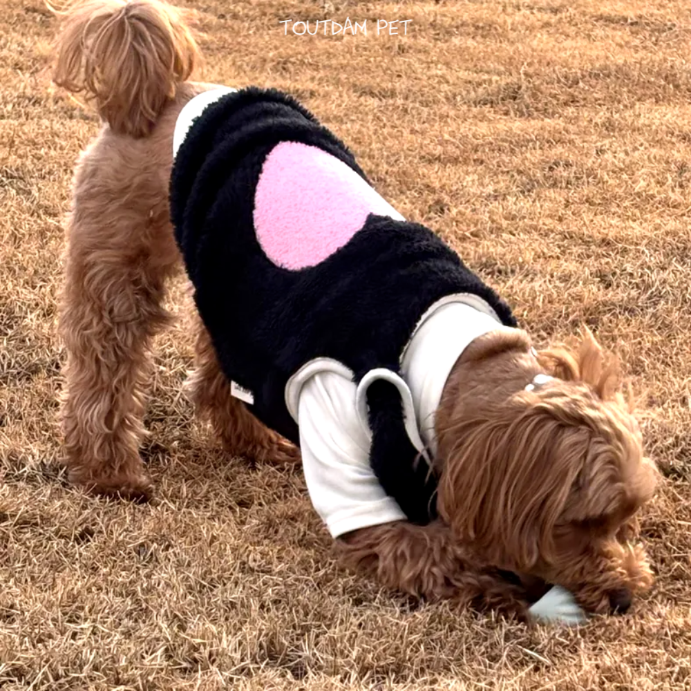 뚜담펫 강아지 후리스 수면조끼 고양이 뽀글이 겨울조끼 히트텍 이미지 7