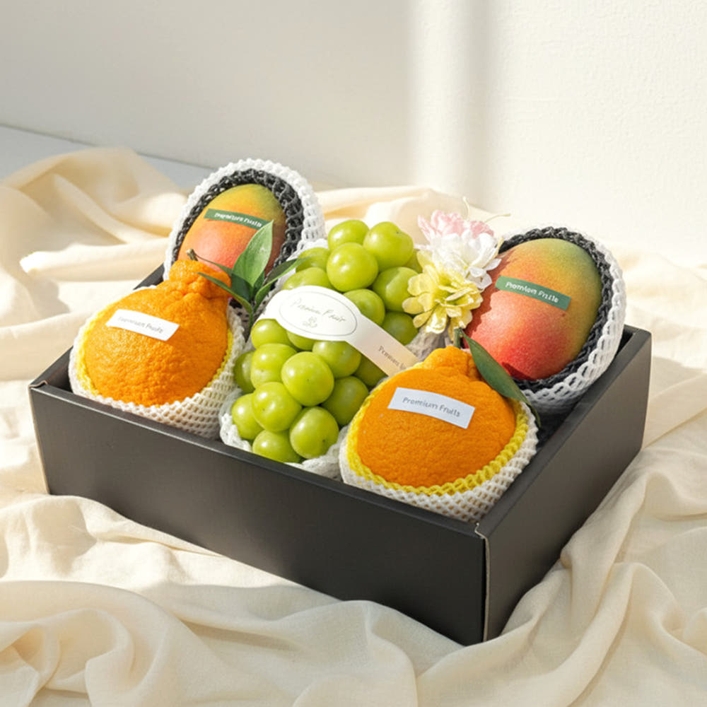 하진이네 프리미엄 혼합 세트