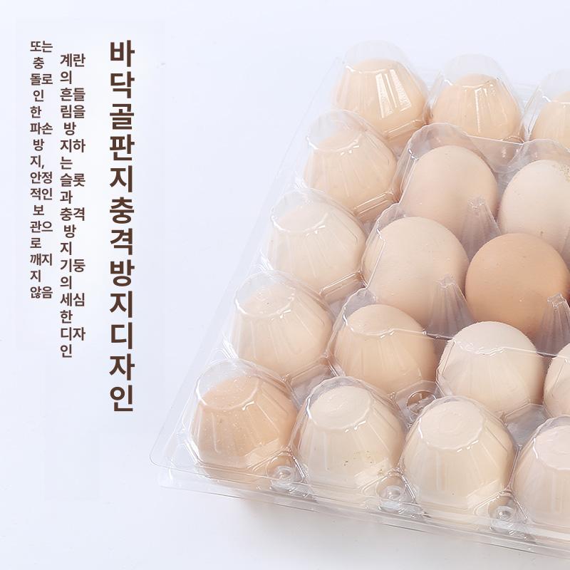 투명계란판 달걀 포장용기 계란트레이 일회용 9개 중간 두꺼운 50-58g - 상세 이미지 3