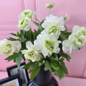 유스풀몰 버터플라이 라넌큘러스 한다발 꽃 생화 택배 꽃배달싼곳 솔직 후기 | 실사용자 리뷰 분석 - 상품 이미지 2