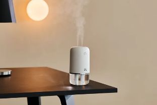 노멀라이프 차량용 듀얼미스트 저소음 무선 미니가습기