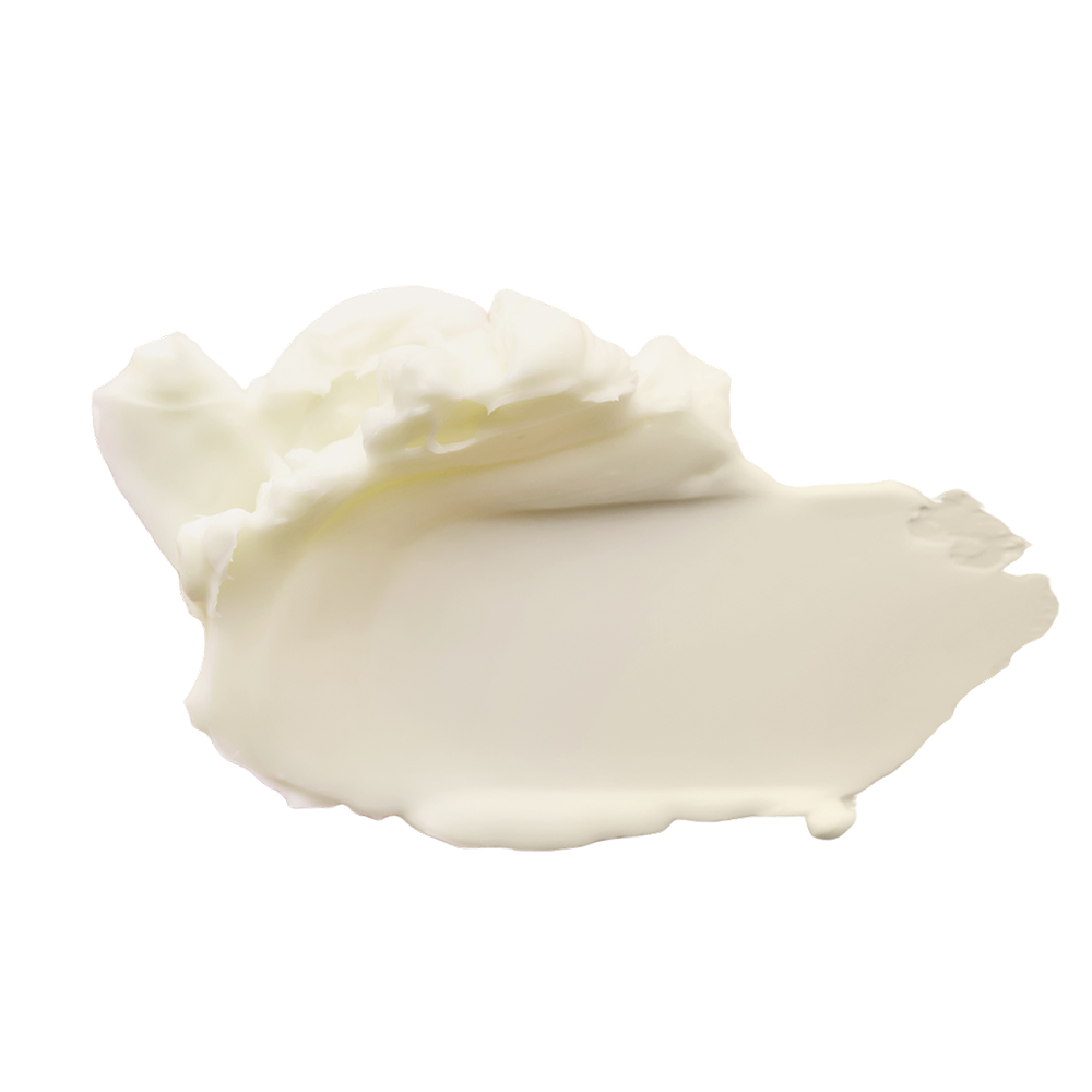 오늘31 후코이단 새틴 페이스크림 90ml 나이트 데이크림 수분 부스팅 이미지 6