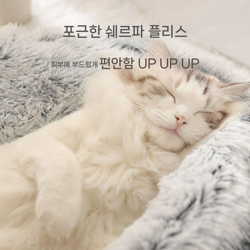 작은 중형견용 봉제 고양이 소파 도넛 대형 바구니 반려동물 - 상세 이미지 3