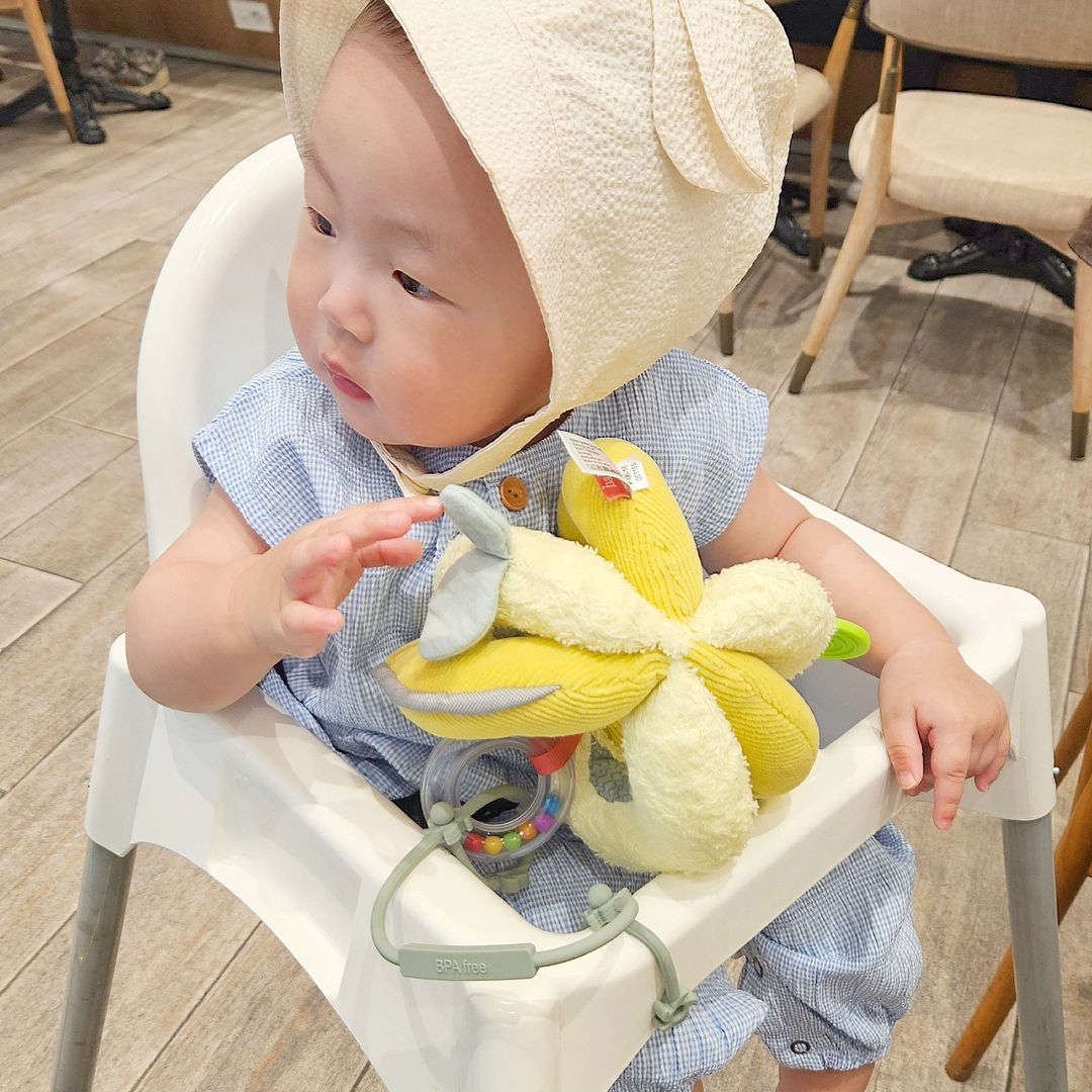 독일 프리미엄 베이비펜 해피다이노 액티비티 볼 아기 촉감 놀이 애착 봉제 인형 선물 - 상품 이미지