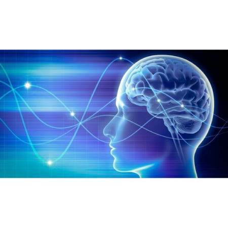 UnKnown [해외](수입CD) Lose Weight Weight Loss Aid self help Subliminal CD