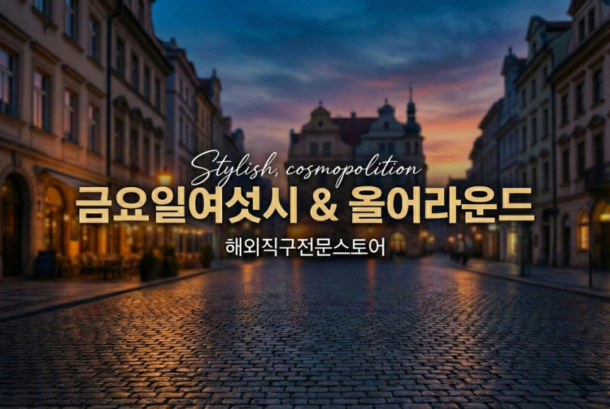 승무원캐리어 위로열리는캐리어 기내용 하드케이스 장비가방 17인치 일반형