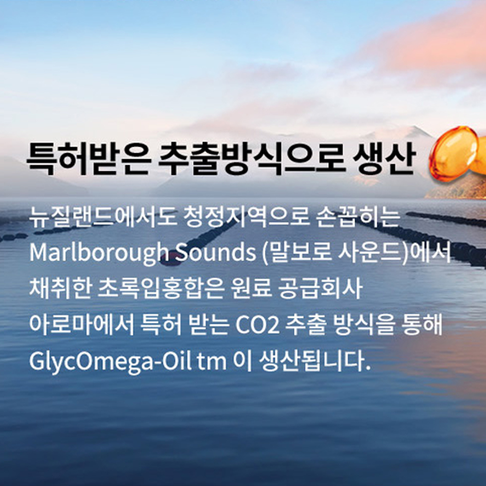 초록홍합 오일 뉴질랜드푸른홍합 KuKu 12500mg 120캡슐 고품질 실속형 쿠쿠 이미지 8