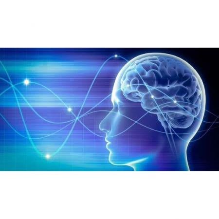 UnKnown [해외](수입CD) Precognition Subliminal cd self help