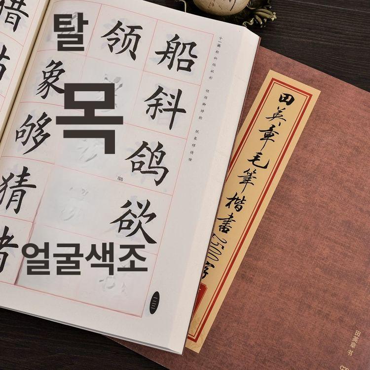 붓글씨 교본 글씨연습 초보자용 캘리그라피 한자 연습 모필 해서 상용 2500자 간체판 - 상세 이미지 4