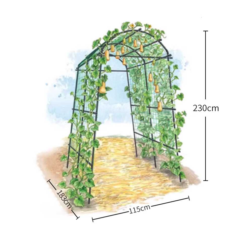 포도지지대 넝쿨식물 정원 막대 프레임 터널형 과수 1.15x1.83x2.3m 이미지 7